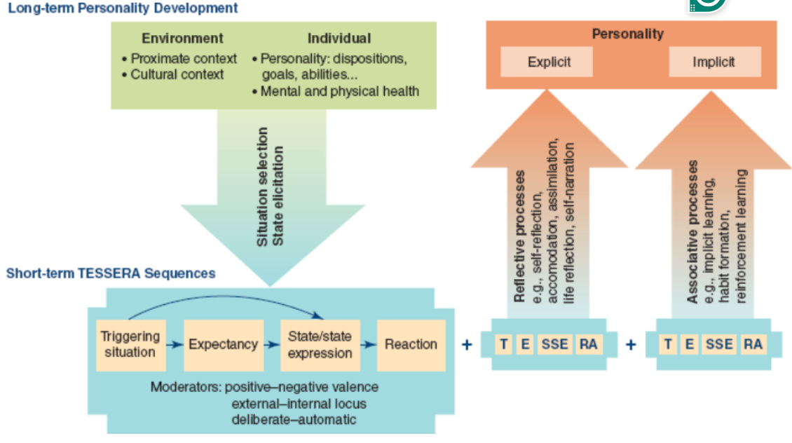 <p>explains how short term things loop/add up to long term personality, triggering situation, expectancy, state/state expression, reaction </p>