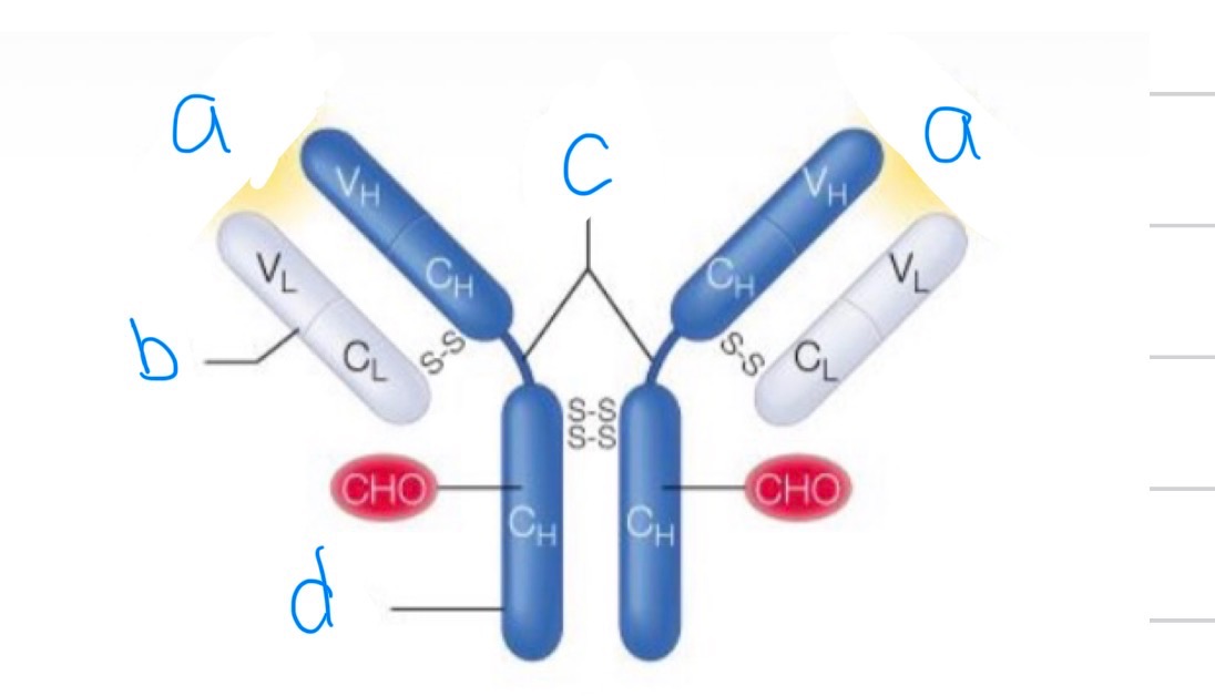 <p>What is this? Label it</p>