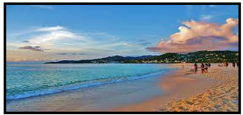 <p>Beach</p>