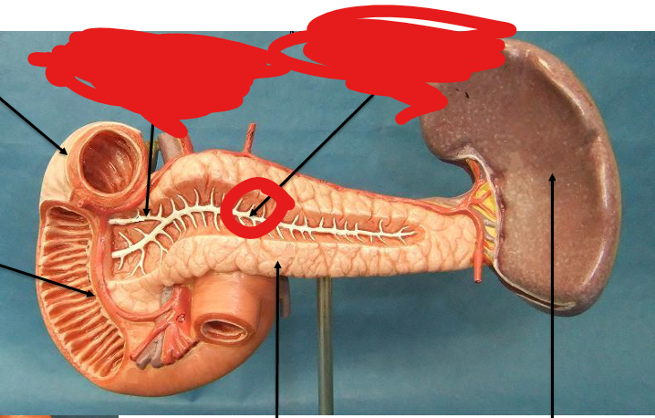<p>What is this structure </p>