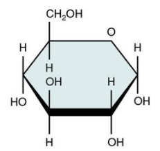 <p>Which Ring Form is this?</p>