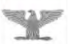 <p>Silver eagle.</p>