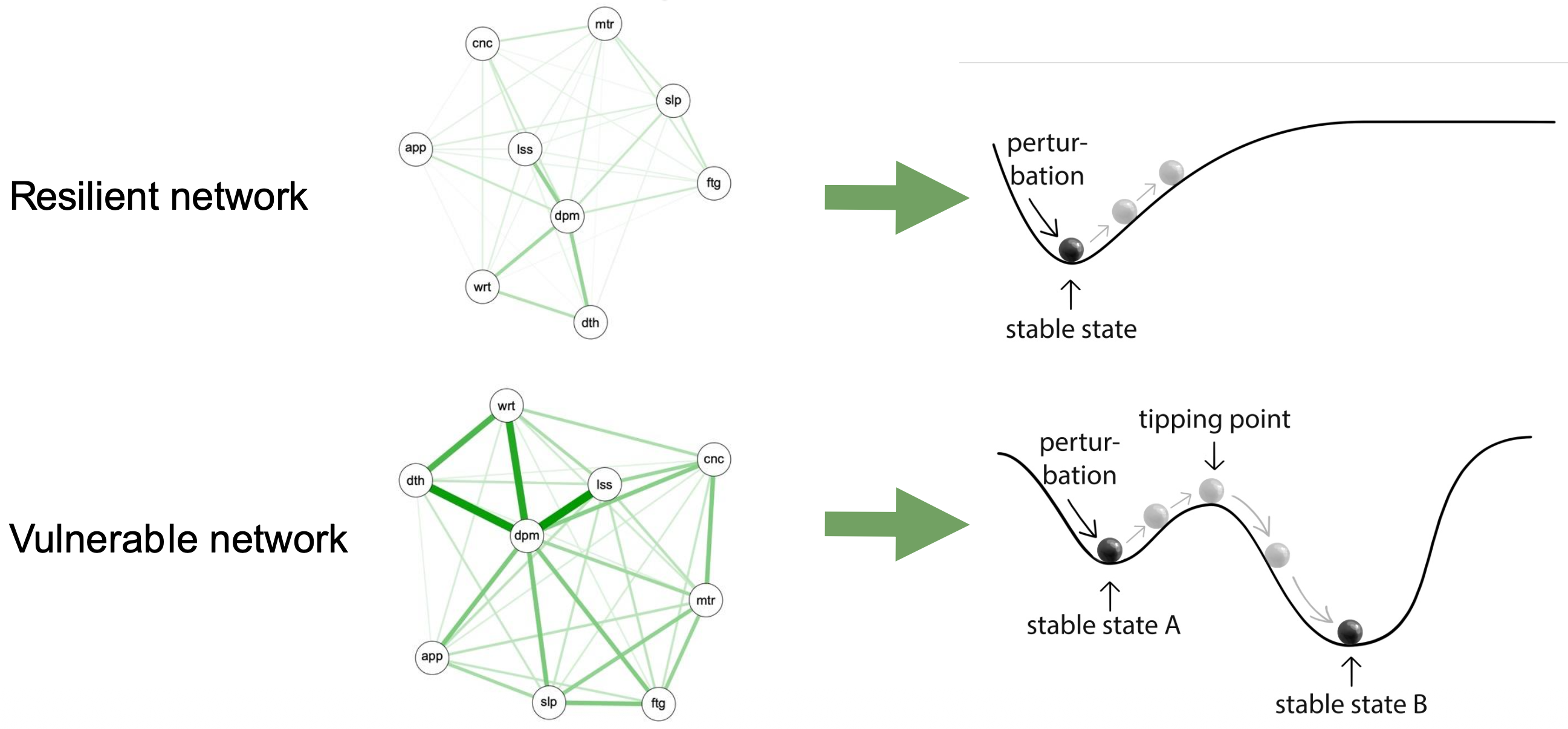 <p><span>A dynamical landscape (potential landscape) is a metaphor showing stable states as valleys and unstable states as hilltops. For mental health: one valley = healthy state, the other valley = disorder state. The hill between them is the tipping point. A strongly connected (vulnerable) network has two deep valleys; a weakly connected (resilient) network has only one.</span></p>