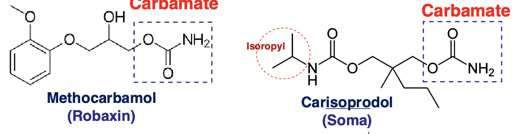 <ul><li><p>methocarbamol</p></li><li><p>carisoprodol</p></li><li><p>meprobamate→ 2 carbamates on each side (metabolite of carisoprodol from N-dealkylation)</p></li></ul><p></p>
