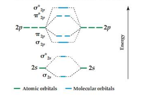 <p>What atoms use this orbital diagram? </p>