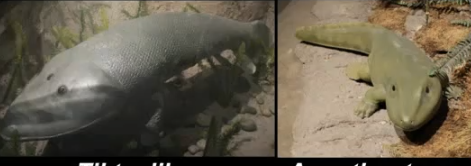 <p>What are these two</p>