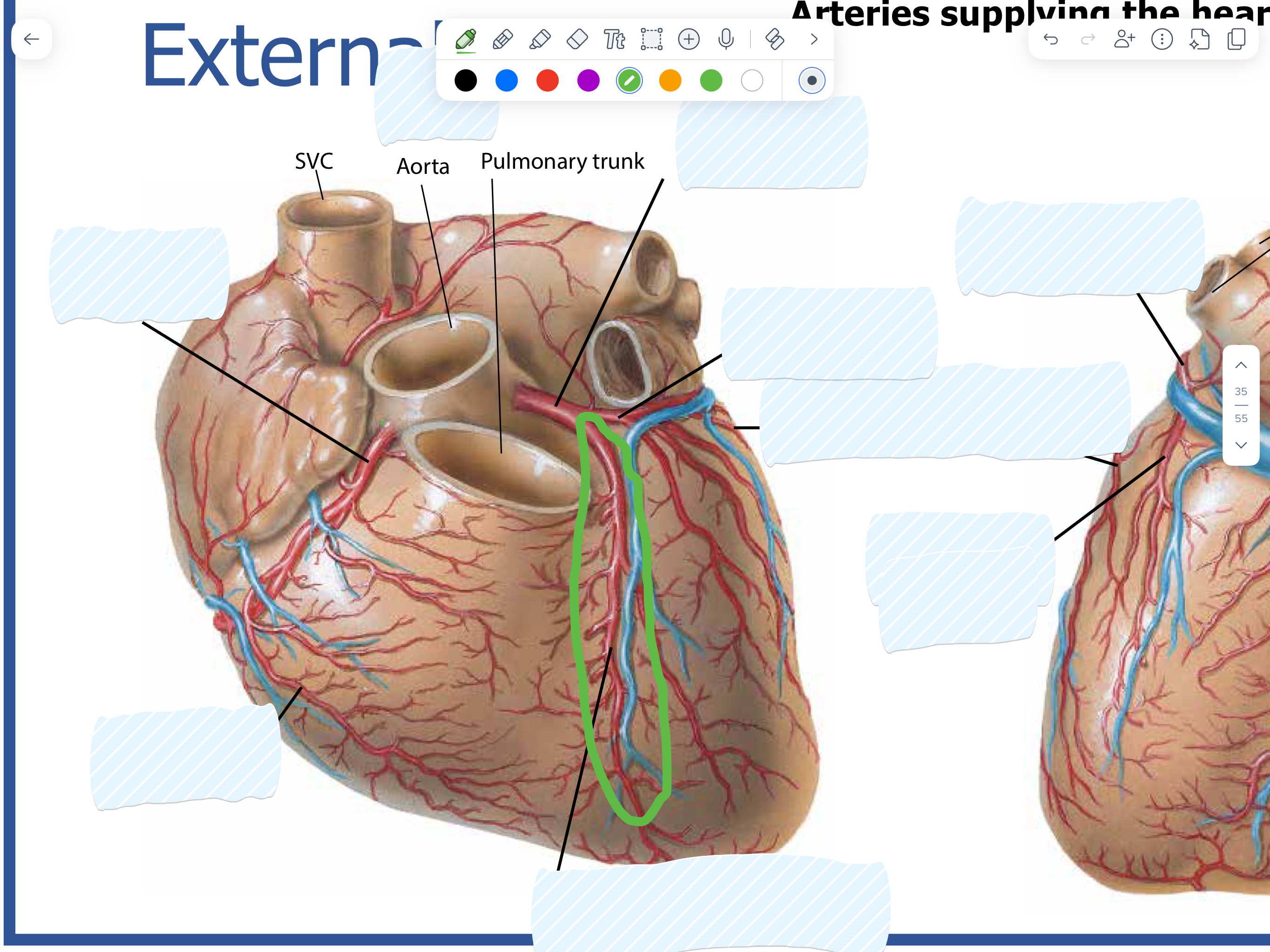 knowt flashcard image
