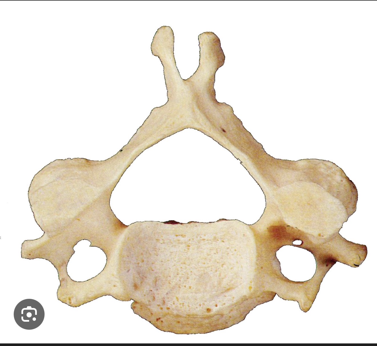 <p>what is this?</p>