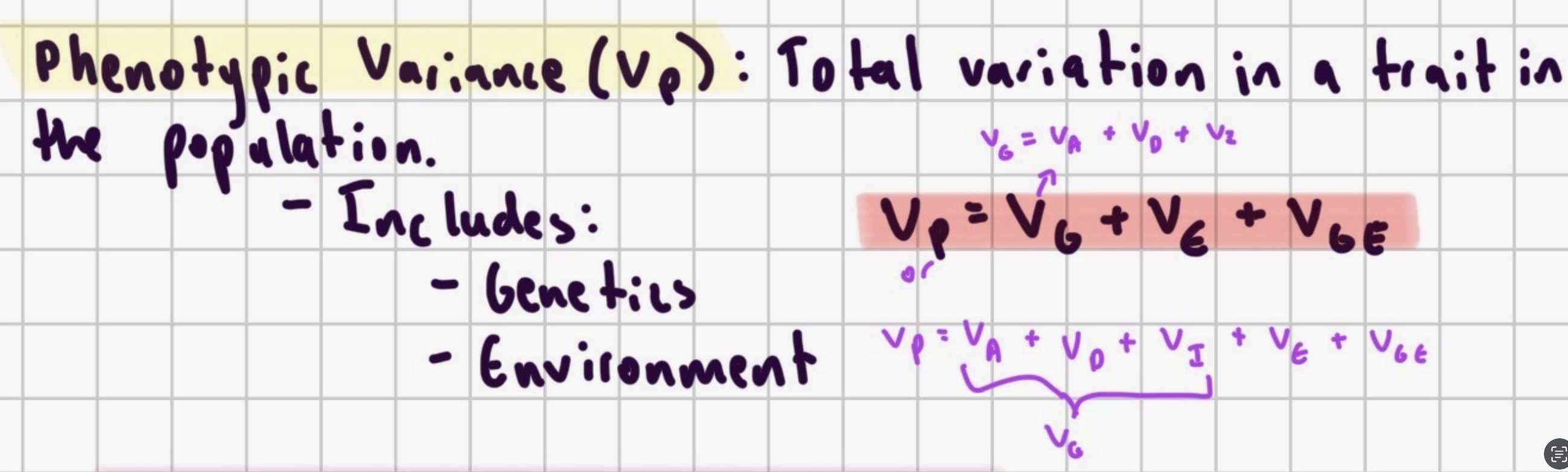 <p>the total variation in a trait in the population (<strong><mark data-color="#NaNNaNNaN" style="color: inherit;">INCLUDES GENETIC + ENVIRONMENTAL VARIATION</mark></strong>)</p>
