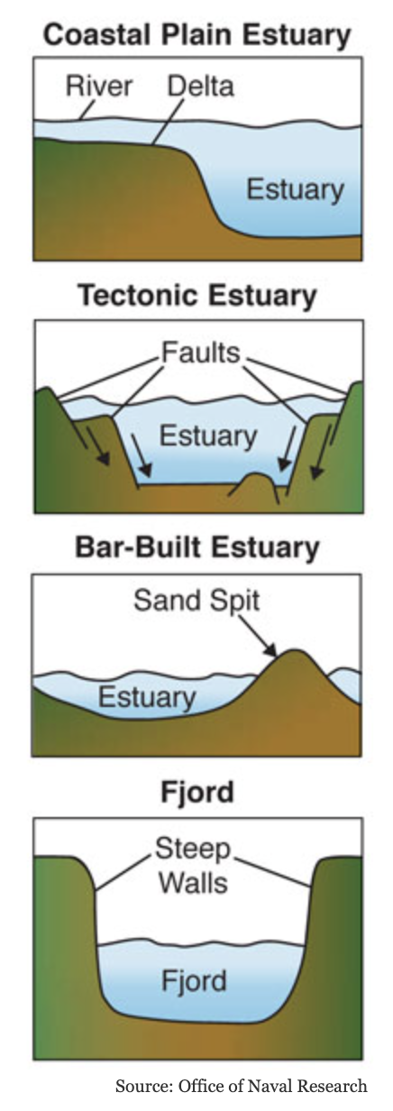 <p>Similar because both show habitats changing gradually across a landscape.</p><p> Different because the estuary transept includes barrier islands, lagoons, salt marshes, freshwater marshes, swamps, and forests due to changing salinity, making it more complex than the barrier island transept.</p>