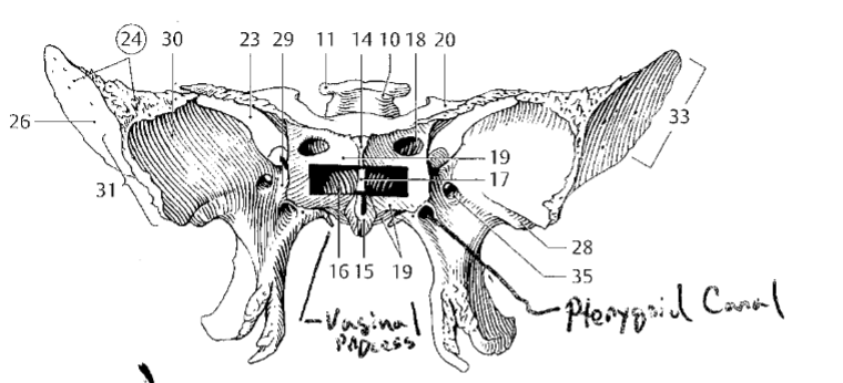 <p>15</p>