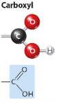 <p>major class: carboxylic acids</p><p>properties: gives organic molecules acidic properties because its -OH groups releases H+ in aq solutions, converting the molecule from a NON-ionized form to an ionized form</p>