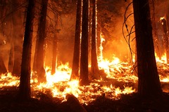 <p>A: Exchange rates, overseas growth, inflation, local economic activity and natural disasters.</p>