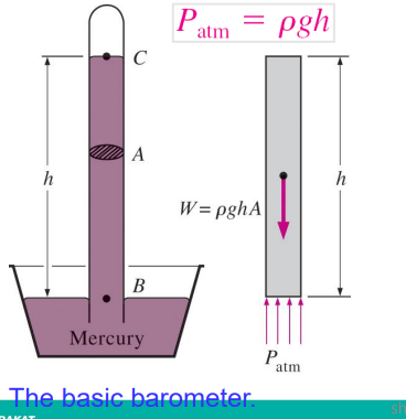 <p>The Barometer</p>