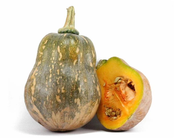 <p>Pumpkin</p>