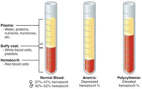 <p>What percent of blood is plasma mostly?</p>