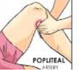 <p>on the inside of knee</p>