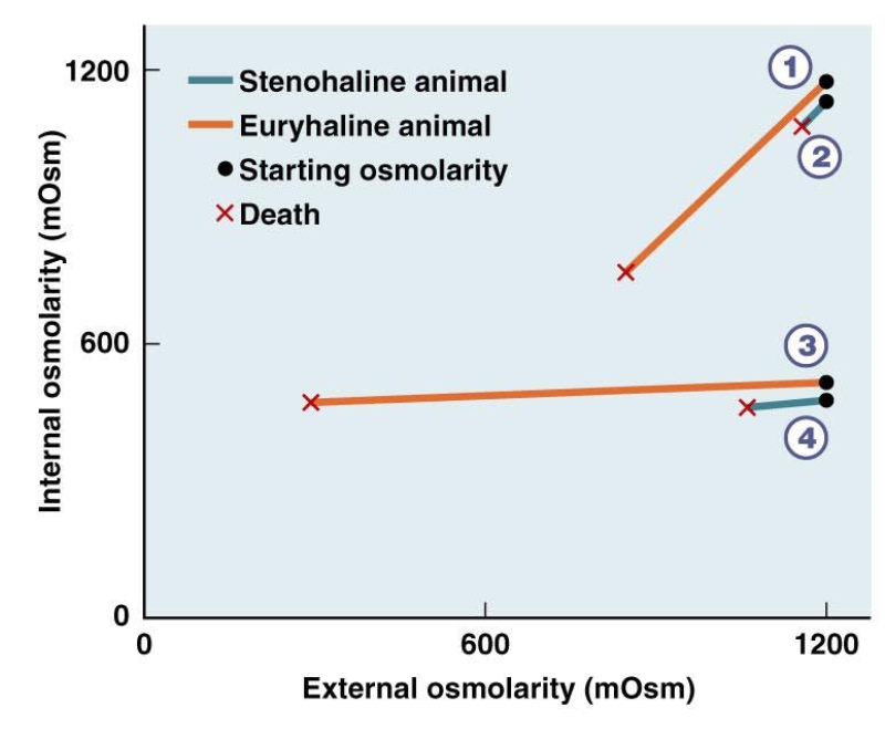 <p>similarity between 1 and 2? difference?</p>
