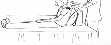 <p>what part of lungs is shaded in the image?</p>