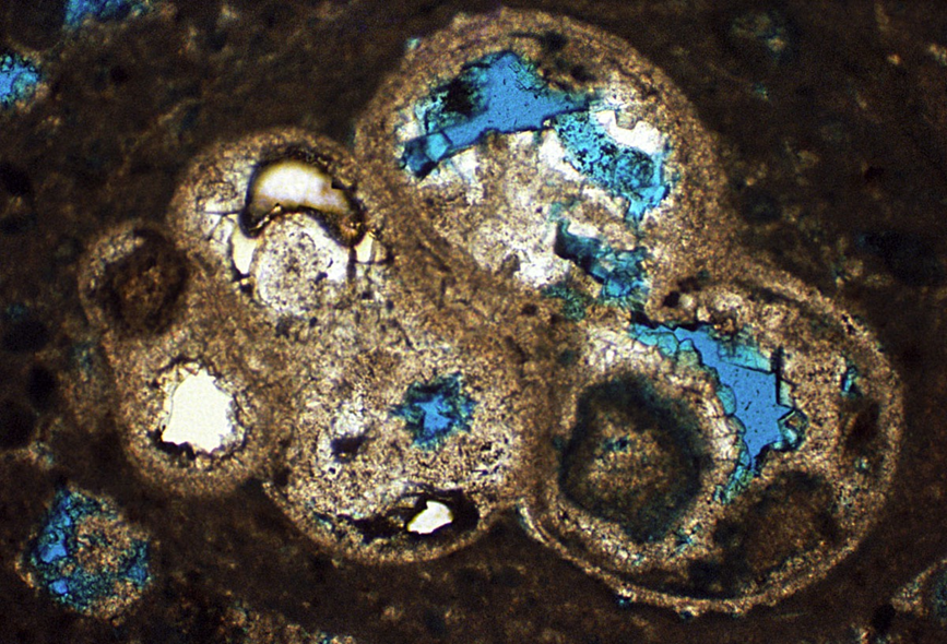<p><span>(2-X)CaCO<sub>3</sub> + Mg<sup>2+</sup> + XCO<sub>3</sub><sup>2-</sup> à Ca,Mg(CO<sub>3</sub>)<sub>2</sub> + (1-X)Ca<sup>2+</sup></span></p>