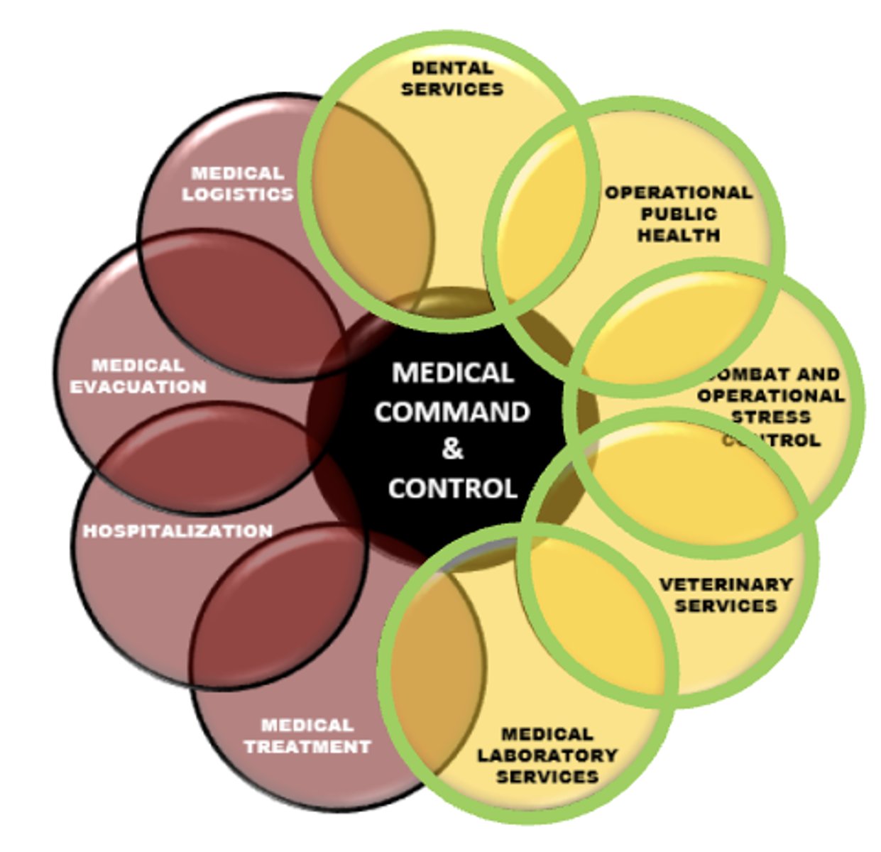 <p>1) Define Force Health Protection</p><p>2) Operational Public Health</p><p>3) Veterinary Services</p><p>4) Combat and Operational Stress Control</p><p>5) Dental Services</p><p>6) Laboratory Services</p>