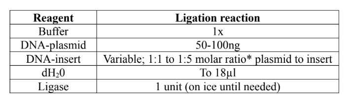 <ul><li><p>at room temp, assemble 20µl ligation reactions by adding reagents in the order of the figure</p></li><li><p>include a no-insert negative control reaction, substituting dH<sub>2</sub>O for insert DNA</p></li></ul><p></p>