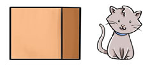 term image