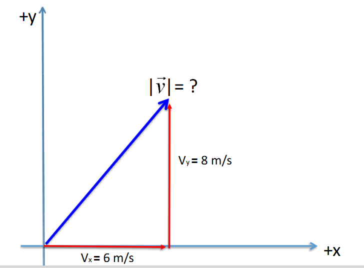 <p>An object has the following velocity components. Which of the following correctly identifies the magnitude of the velocity?</p><p>A) 6 m/s<br>B) 8 m/s<br>C) 10 m/s<br>D) pi m/s</p>