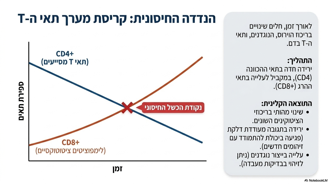 <ul><li><p><strong>השינויים בתאי החיסון לאורך זמן:</strong> בתחילה חלה <strong>ירידה במספר תאי ה-טי המסייעים (סי.די.4 חיובי)</strong>, ובהמשך חלה <strong>עלייה במספר הלימפוציטים הציטוטוקסיים (סי.די.8 חיובי)</strong>.</p></li><li><p><strong>ההשלכות בגוף:</strong> השינוי מוביל לפגיעה מהותית בריכוזי הציטוקינים השונים, לירידה בתגובה מעודדת דלקת ולעלייה בייצור נוגדנים (אותה ניתן לבדוק במעבדה).</p></li></ul><p><br></p>