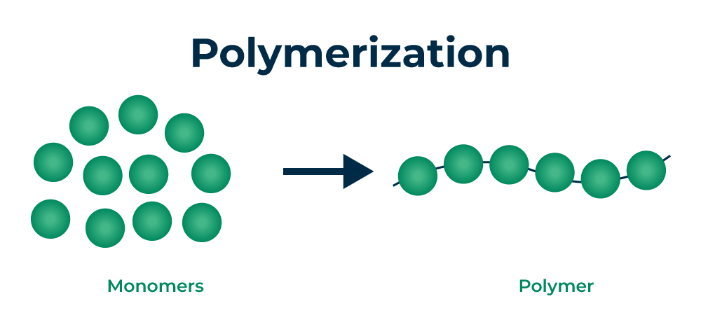 <ul><li><p>a larger molecule made by joining many smaller units </p></li><li><p>ex] In carbohydrates: glucose + glucose + glucose= polysaccharide </p></li></ul><p></p>