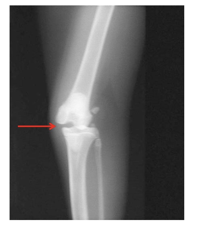 <p>what is this showing?</p>