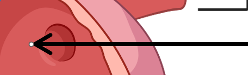 <p>What is this part of the heart?</p>