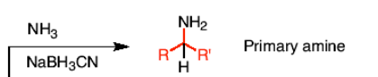<p>NH3 and a reducing agent<span style="color: rgb(0, 0, 0);"> (</span><span style="color: rgb(0, 0, 0);">NaBH3CN) </span></p>