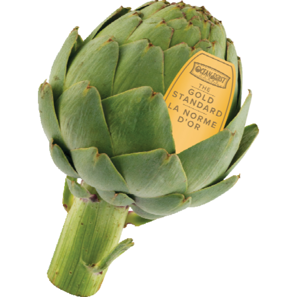<p>Artichoke</p>