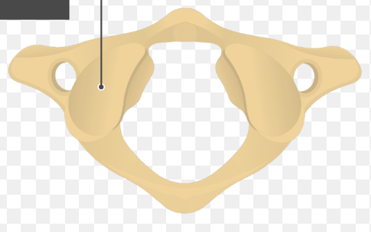 <p>what is this facet and how does it differ from its opposite? </p>