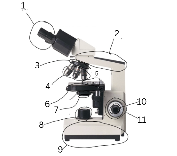 <p>6</p>
