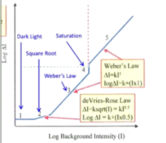 <p>Weber's Law Region 3: What is the weber fraction for scotopic vision?</p>
