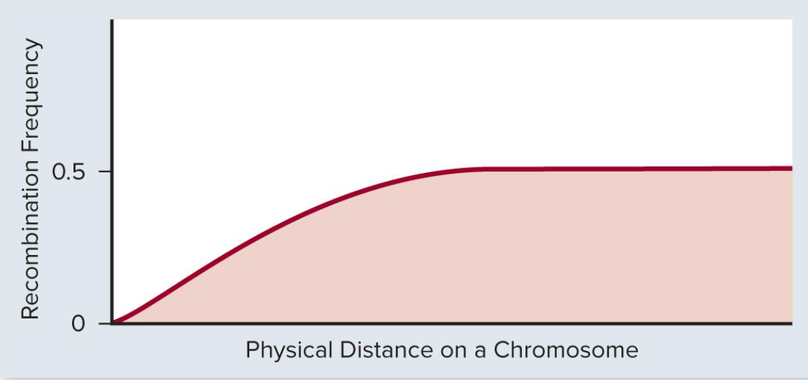 <p>The relationship between true distance and recombination frequency is _________</p>