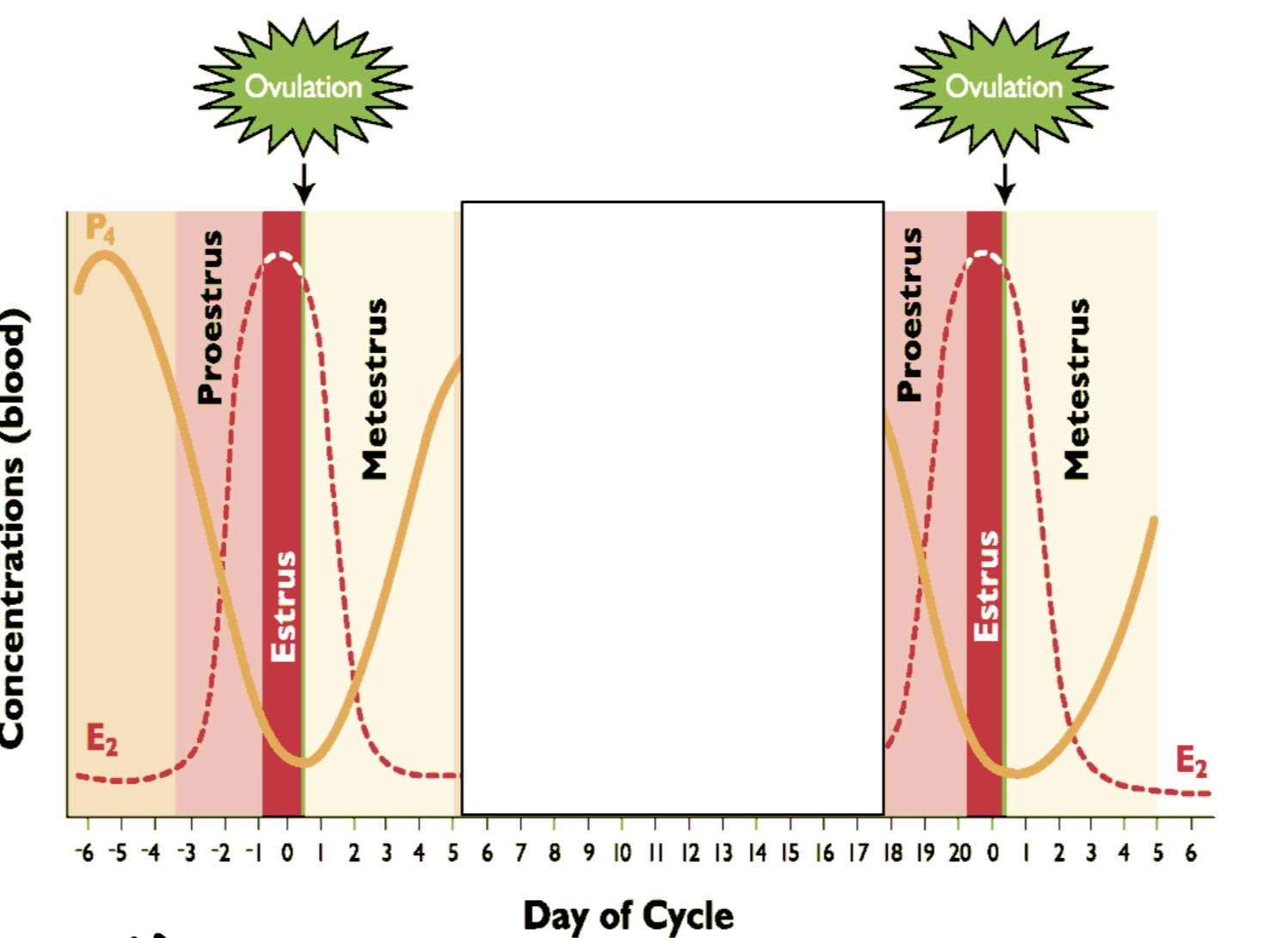 <p>Increasing P4 - formation of CL following ovulation</p><p>Low E2 and LH</p><p>Transition stage</p><p>Ovulation in metestrus</p><p>-Cow and ewe</p><p>-Short estrus time (hours); while LH surge has been initiated it takes time to activate system</p>