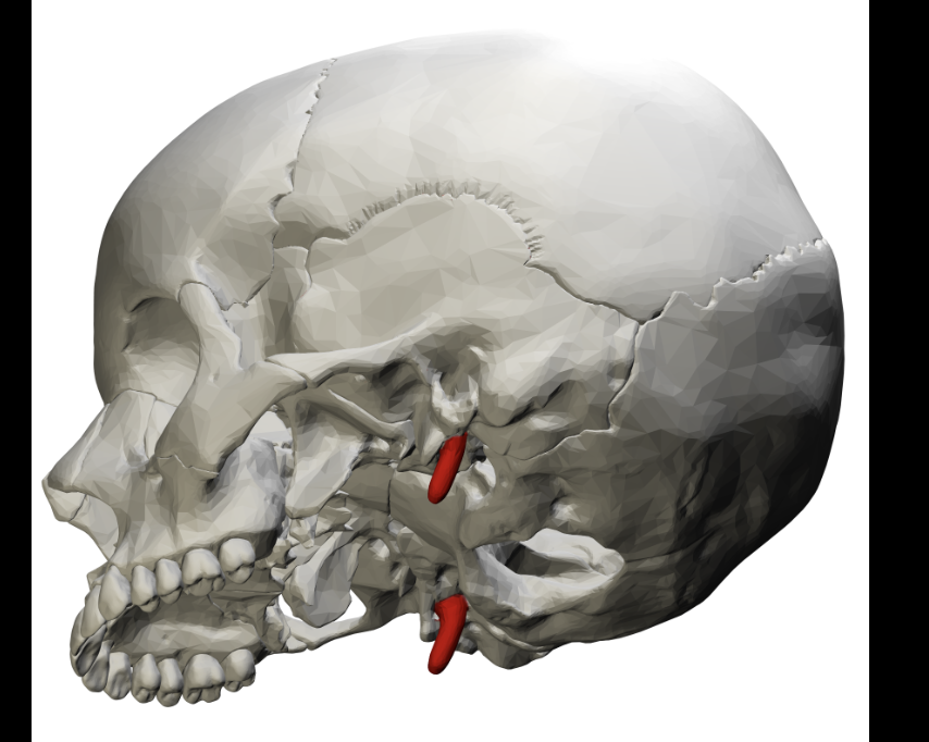 <p>red</p>