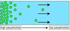 <p>- Movement of a substance from high [c] to low [c] </p><p>- Occurs down a [c] gradient</p>