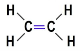 <p>has at least one C-C double bond</p>