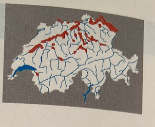 <p><em>Blicca bjoerkna </em><br>– <strong>Blicke</strong> (potenziell gefährdet)</p><p><br>Familie: <em>Cyprinidae – </em>Karpfenfische / Weissfische</p>