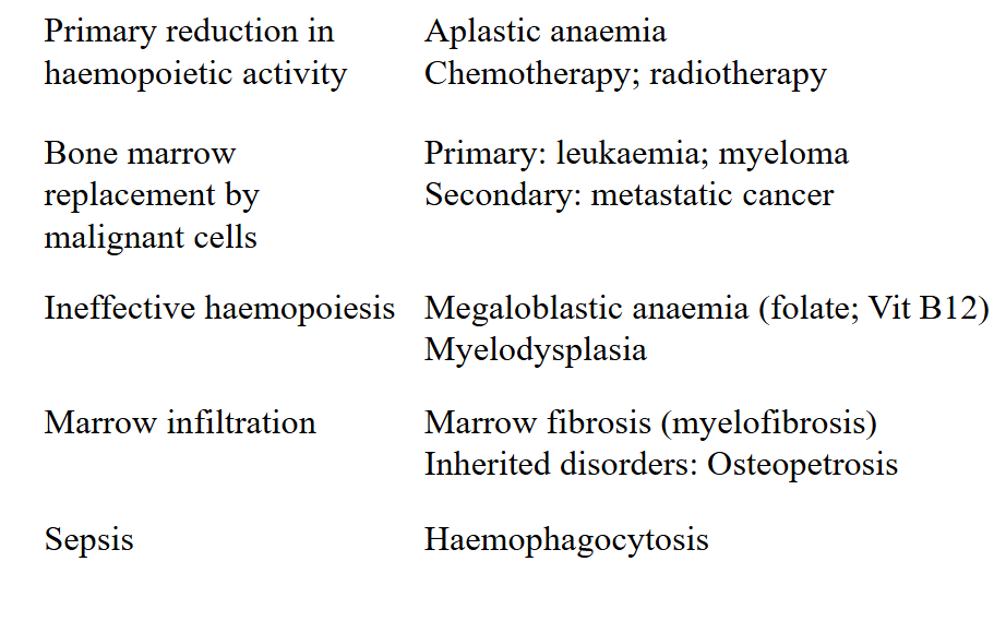 <p>Causes of Bone Marrow Failure</p>