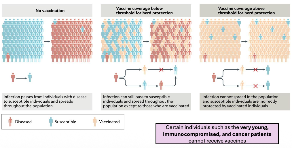 <p>Certain individuals such as the very young, immunocompromised, and cancer patients cannot receive vaccines</p>