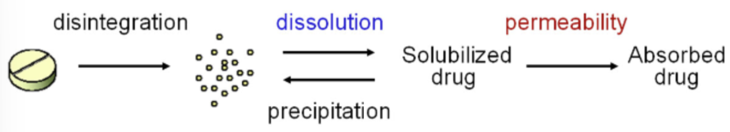 <ol><li><p><span style="background-color: transparent;">Disintegration (tablet breaking down into smaller particles in the stomach)</span></p></li><li><p><span style="background-color: transparent;">Dissolution (smaller particles are dissolved into solubilized drug)&nbsp;</span></p></li></ol><ul><li><p><span style="background-color: transparent;"><strong>High solubility</strong>: when the highest dose strength is soluble in 250 mL or less of aqueous media at pH = 1-7.5</span></p></li></ul><ol start="3"><li><p><span style="background-color: transparent;">Permeability (drug was able to be absorbed)</span></p></li></ol><ul><li><p><span style="background-color: transparent;"><strong>High permeability</strong>: when the extent of absorption in humans is determined to be 90% or more of the administered dose</span></p></li></ul><p></p>
