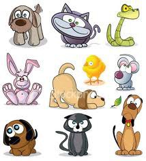<p>un animal de compagnie</p>