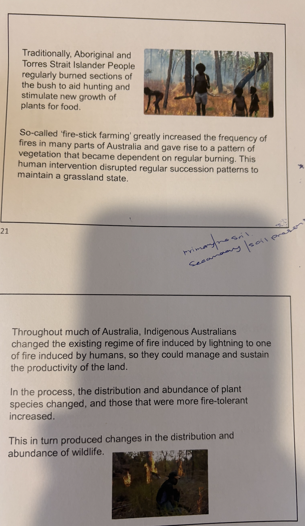 knowt flashcard image