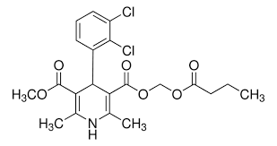 <p>What is unique about this molecule? </p>