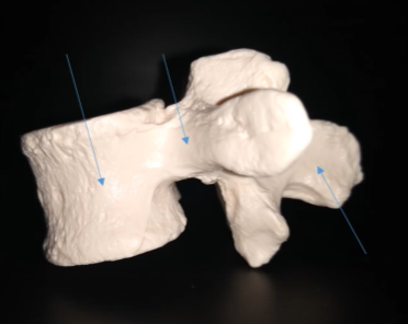<p>What is this process (blue arrow to the right region)?</p>